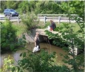 A photo of two people collecting trash from Ferry Creek during a cleanup event.