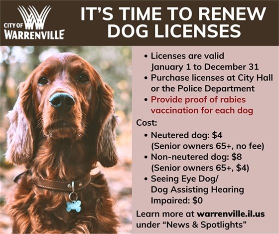 Dog licenses should be renewed for 2026. Learn more at warrenville.il.us under "News & Spotlights."