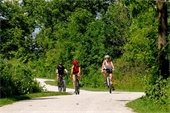 A photo of bicyclists using a DuPage County Forest Preserve Trail.