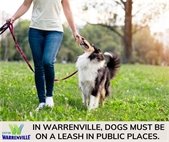 A person walking their long haired dog on a leash to remind residents to keep their dogs on a leash in public.