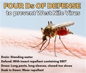 A photo of a mosquito with tips on how to avoid mosquito bites and West Nile Virus risk.
