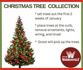 A graphic of a Christmas tree to promote Christmas tree collection by the City's garbage company.