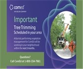 A photo of a ComEd crew trimming trees around power lines.