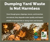 A photo of leaves on the ground with a reminder to not dump them into storm drains.