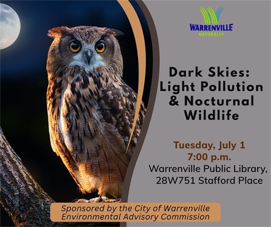 An owl perched on a tree at night with a full moon in the background.
