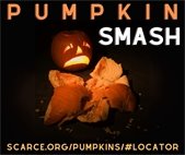 A photo of a pumpkin for the pumpkin smash after Halloween.