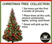 Groot will pick up Christmas trees the first two weeks in January - the week of the 5th and the 12th.