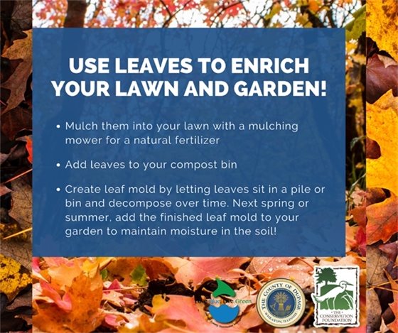 Leaf disposal tips that include mulching them into your lawn, composting them, or letting them sit in a pile during the winter to use in your garden in the spring.