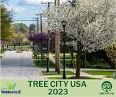 An image of feet following an arrow, with the phrase "Our special census is about to begin!"