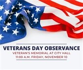 A photo of an American flag for veterans day ceremonies.