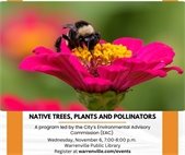 A photo of a bee on a flower to promote a program on native trees, plants, and pollinators November 6 at the library.