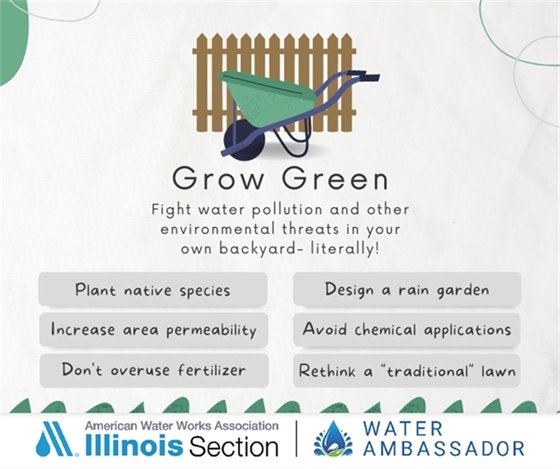 Plant native species and avoid chemical applications to have a greener and safer garden.