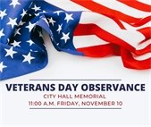 A photo of an American flag for veterans day ceremonies.