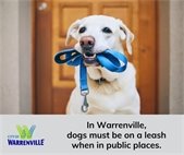Photo of a light-colored dog holding a blue leash in its mouth while standing in front of a wooden door. Text on the graphic reads, “In Warrenville, dogs must be on a leash when in public places.” City of Warrenville logo appears in the lower left corner.