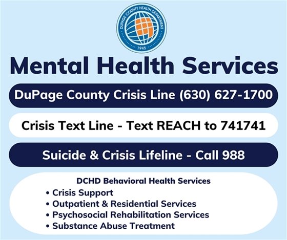 A graphic listing mental health services in DuPage County for adults.