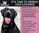 A photo of a dog to let residents who own dogs know that it's time to get a 2025 tag for their pet.
