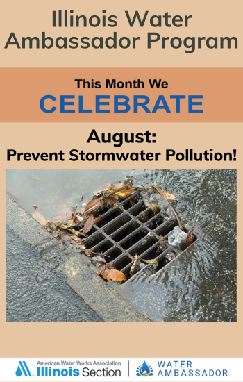 IL Water Ambassador August: Prevent Stormwater Pollution